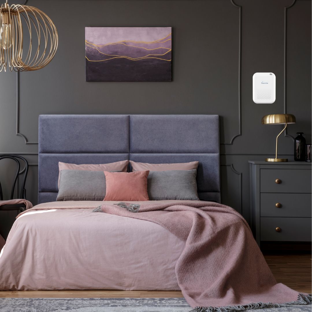 Paramount Battery Diffuser