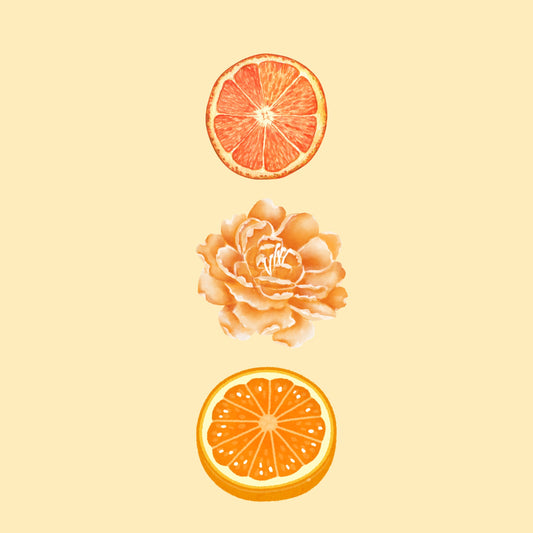 NO. 4153 Citrus Zest